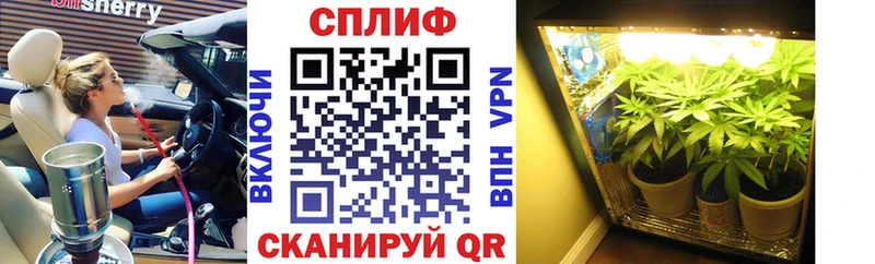 Купить Москва COCAIN  Галлюциногенные грибы  Конопля  ГАШ 