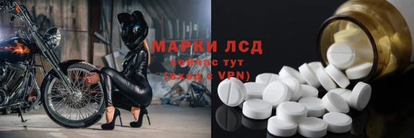 стаф Ельня