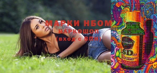 сатива Елизово