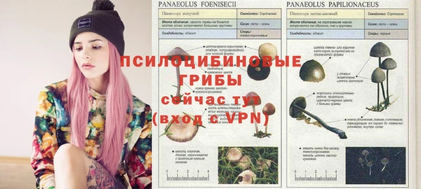 экстази Навашино