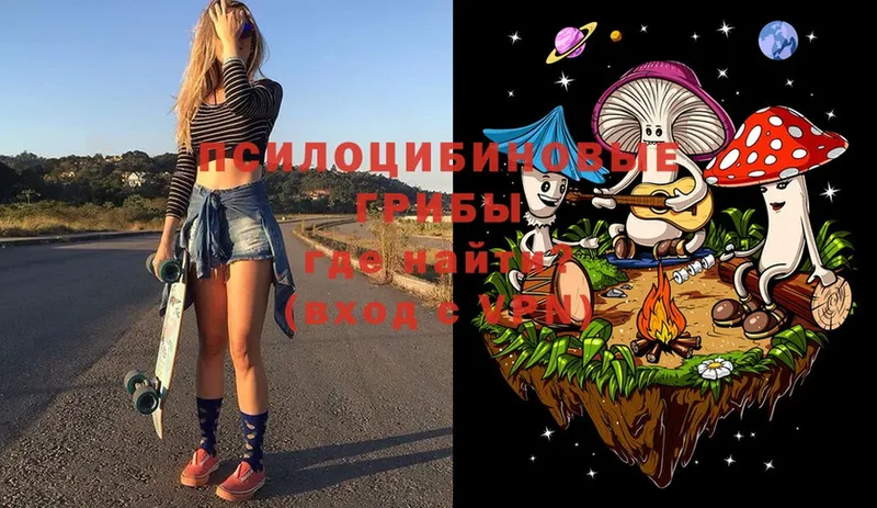 Галлюциногенные грибы MAGIC MUSHROOMS  где купить   MEGA зеркало  Москва 